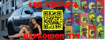 стафф Обнинск